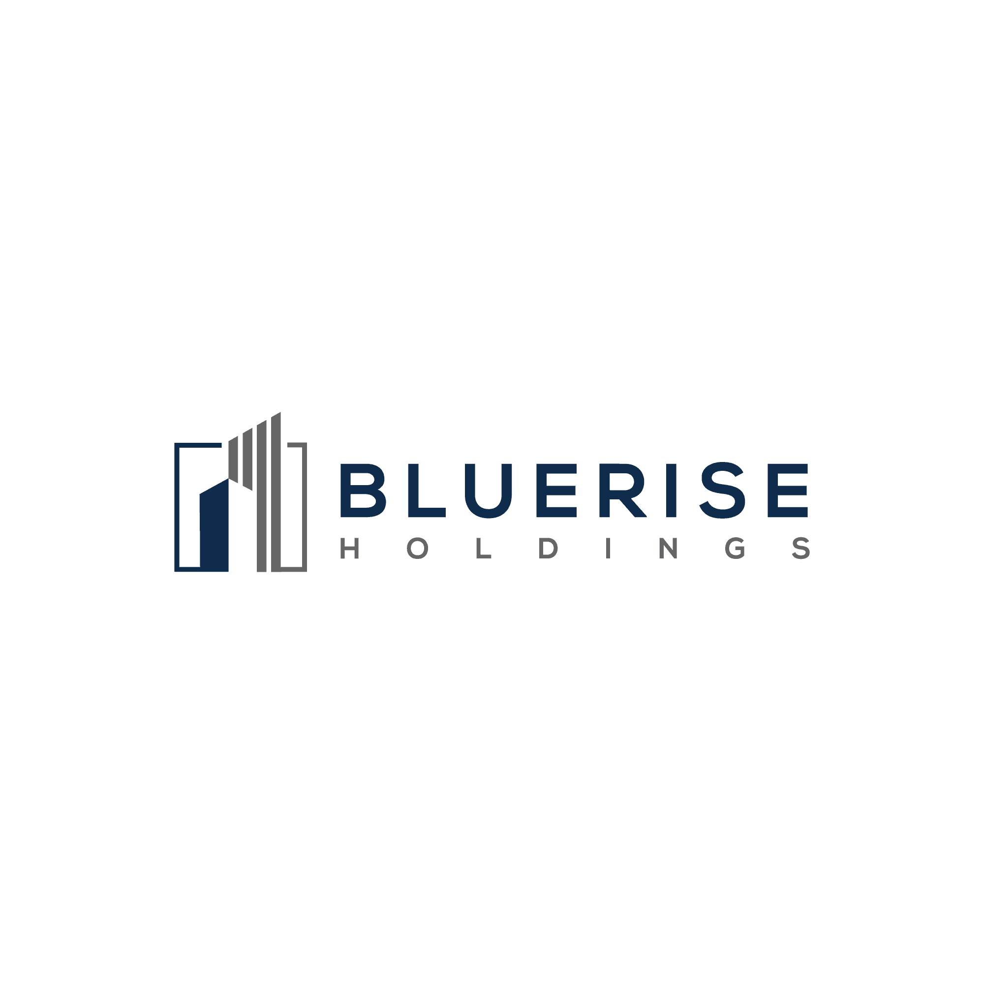Bluerise Holdings